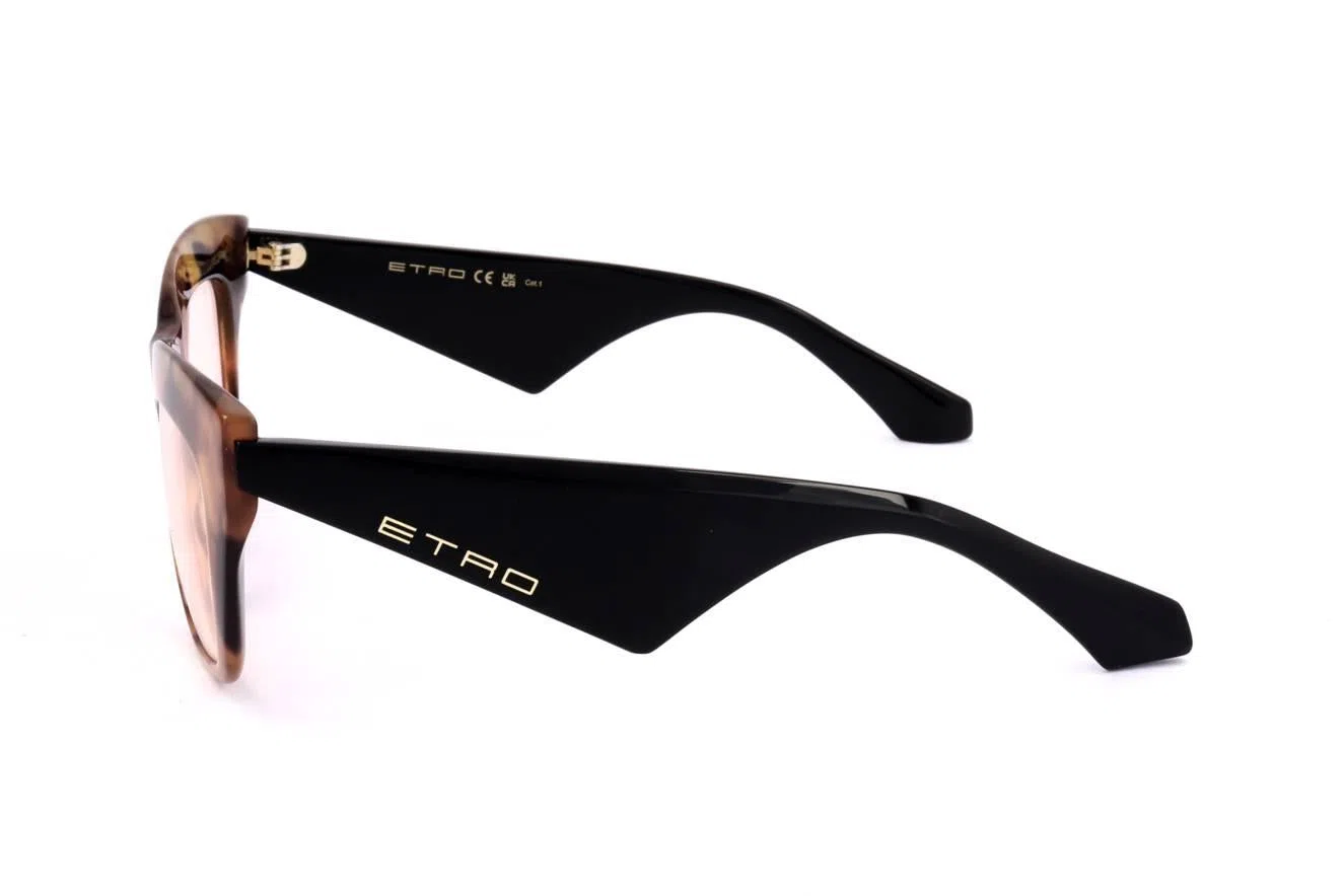 Etro ETRO0004_G_S Sunglasses - view 4